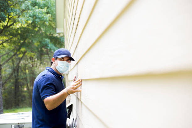 Best Insulated Siding Installation  in Washburn, ND